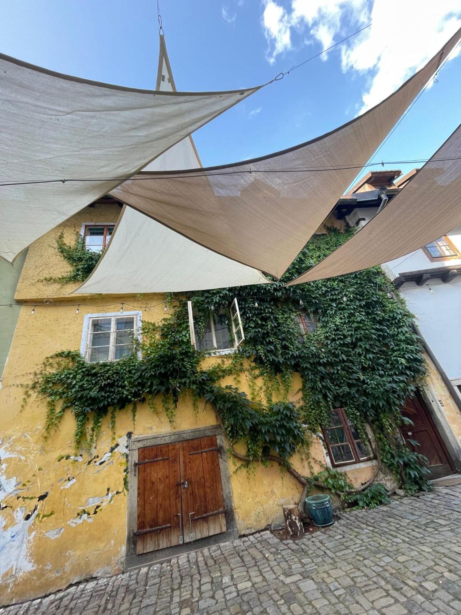 Villa Celnice Český Krumlov Dış mekan fotoğraf
