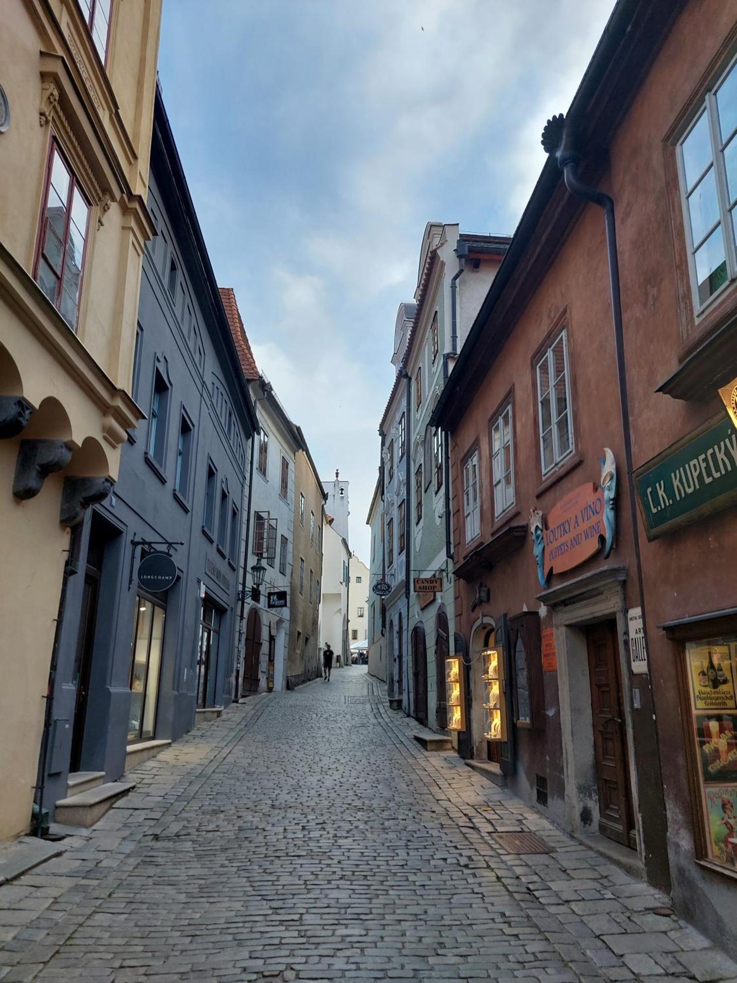 Villa Celnice Český Krumlov Dış mekan fotoğraf